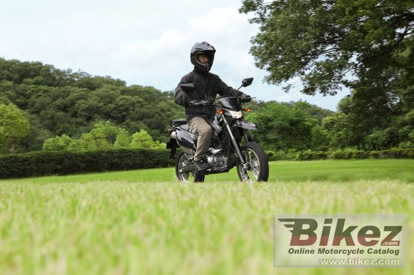 2010 Kawasaki D-Tracker 125 photo